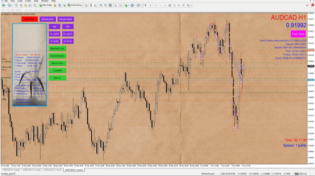 Abu Trader Interface and Performance