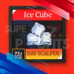 ICE CUBE SCALPER