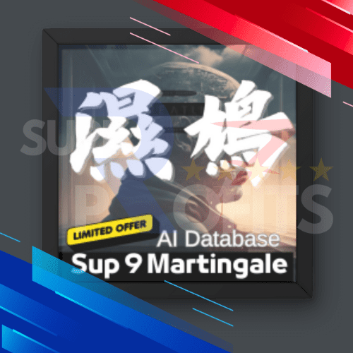 sup 9 martingale