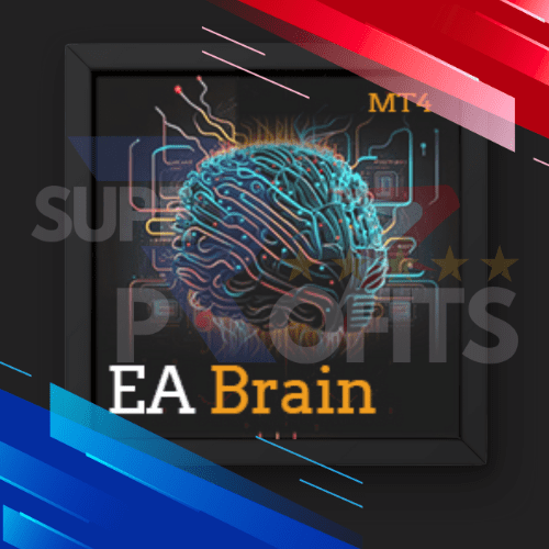 AMAZING BRAIN
