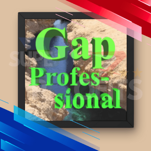 GAP PROFESSIONAL