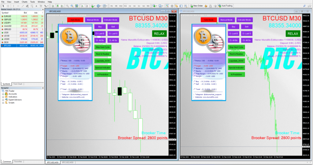 BitcoinRobot MT4 Overview