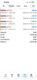 Verified trading results of Pips Hunter Fx EA MT5 showing consistent equity growth and low drawdown using machine learning optimization on a live account.