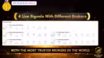 Gold Algo MT4 MQL5 number 1 ranking badge showing 4 live signals with VTMarkets Fusion Markets FPMarkets ICMarkets performance comparison table