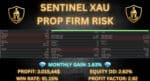 Sentinel XAU EA MT5 v1.2 - Image 3